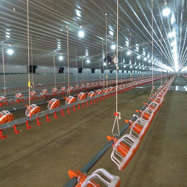 Система 1.1КВ пола цыпленка оборудования бройлера автоматической птицы подавая земная