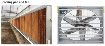 Estufa rápida da barraca da flor com a coberta do filme do Pe da abóbada do sistema de refrigeração