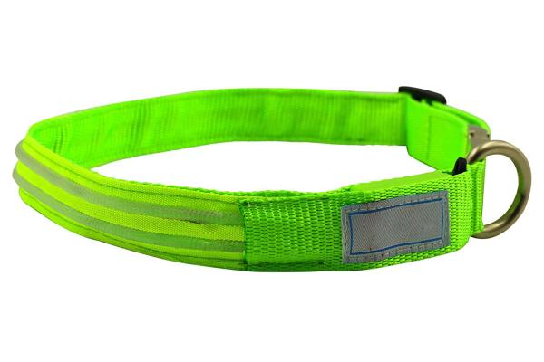 Metal Buckle LED Dog Collar USB Rechargeable Maximize Dog's Visibility