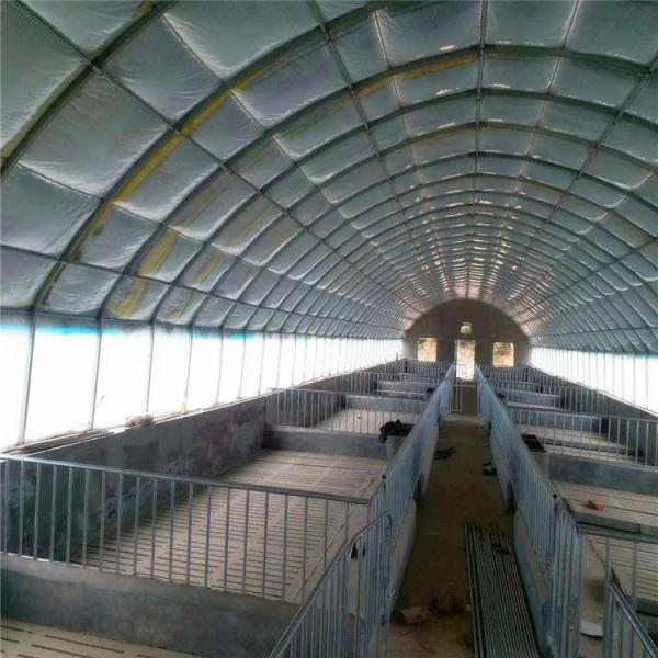 Agriculture Poultry Farming Chicken Heated Greenhouse Automatic