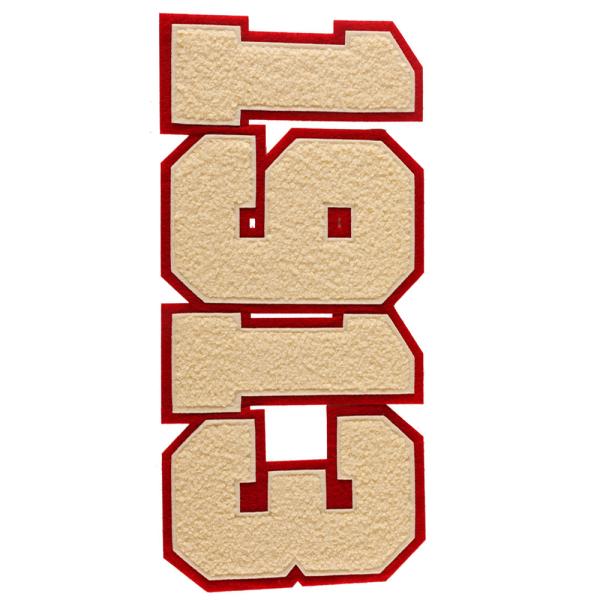 PANTONE Colors Iron On Chenille Letters Patches for Clothing Embroidery Patches