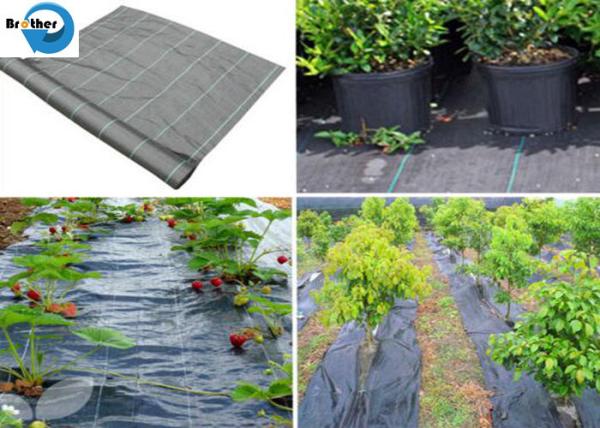 Heavy Duty Weed Control Fabric Membrane Garden Ground Cover Mat Landscape Sheet