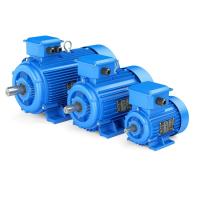 Basse vibration faite sur commande 3 moteur de la phase PMSM, moteur électrique synchrone à C.A. de 2 Polonais