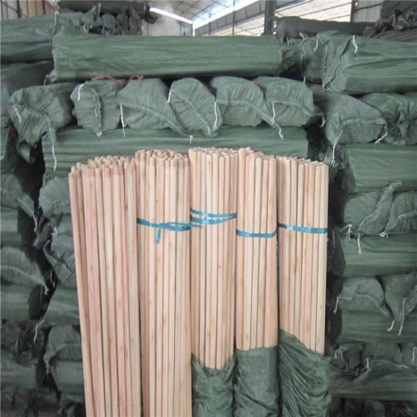 Italian Dome 20mm Mop Stick Wooden For Rake