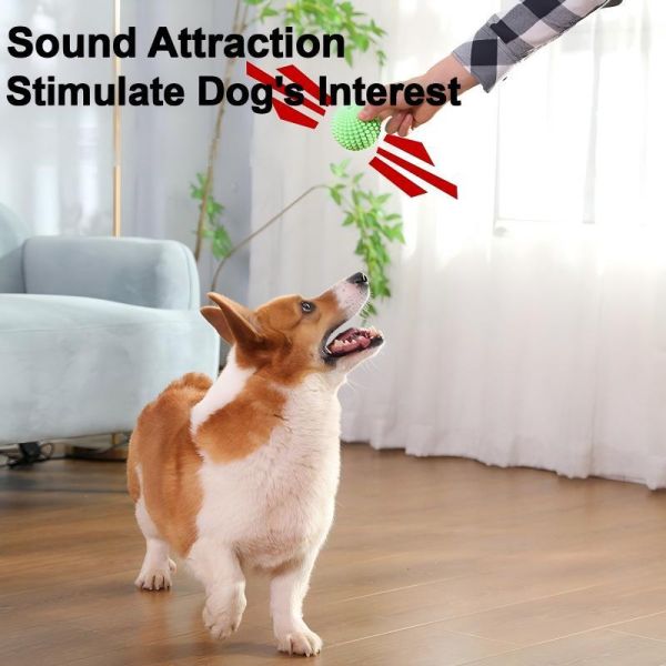 Durable Non Toxic Dog Pet Toys Designed to Keep Dogs Engaged and Promote Healthy Chewing Habits for Long Lasting Fun
