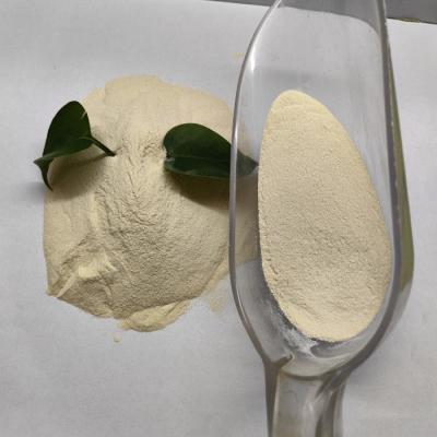 Manganese Proteinate Chelated Organic Mn Can Promote Animal Normal Growth Bones Development