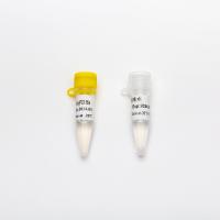Multiplex Probe qPCR Mix for DNA real time PCR 100ml