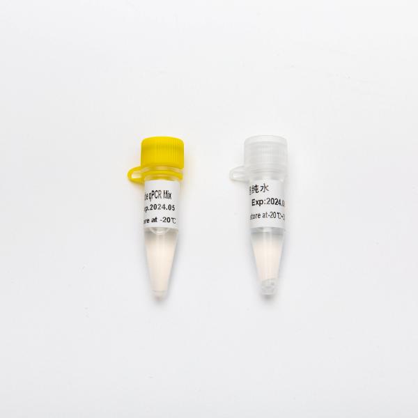 Multiplex Probe qPCR Mix for DNA real time PCR 100ml