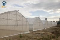 Commercial Tunnel Greenhouse Single Span Plastic Film Greenhouse For Vegetables