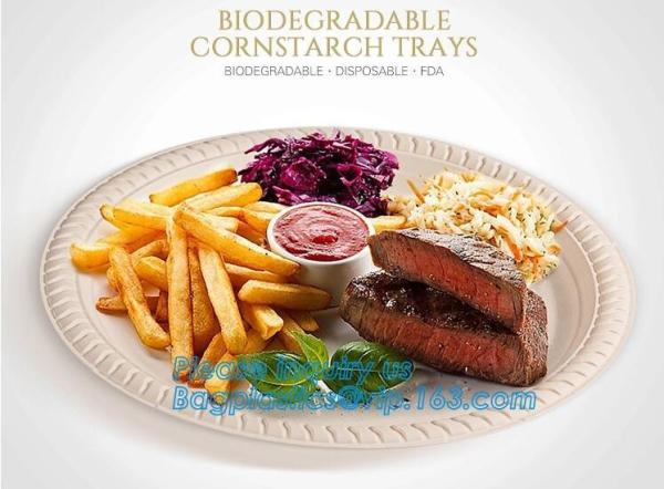 Eco Friendly Biodegradable Sugarcane Bagasse Plates Disposable,Sugarcane Bagasse Pulp Disposable Biodegradable Plate For