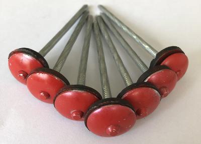 Twisted Shank Home Appliances Parts Umbrella Roofing Nails With Red Head And Plastic Washer