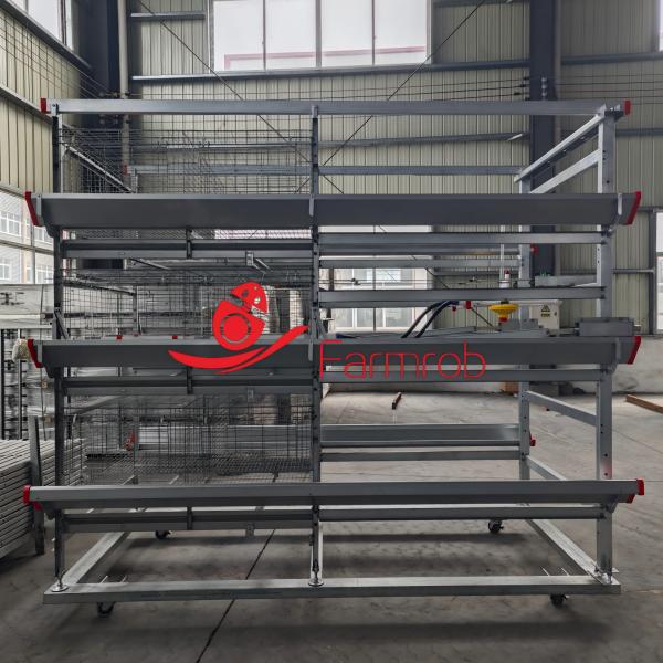 Q235 Wire Poultry Cage System for Rearing Farm