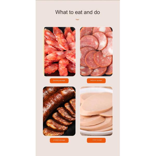 Small Commercial Automatic Meat Grinder for Grinding Meat and Stuffing Pepper Sausages
