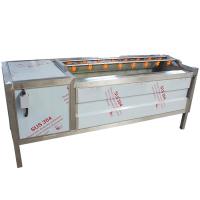 Rouleau de pinceau de gingembre de carotte en acier inoxydable 1200 kg/h Machine à laver et éplucher les pommes de terre