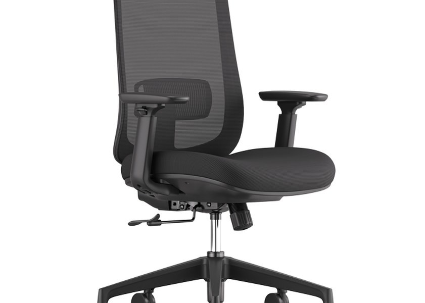 Otto Task Chair with Lumbar Support Adjustable Headrest and Armrests for Ergonomic Office Comfort