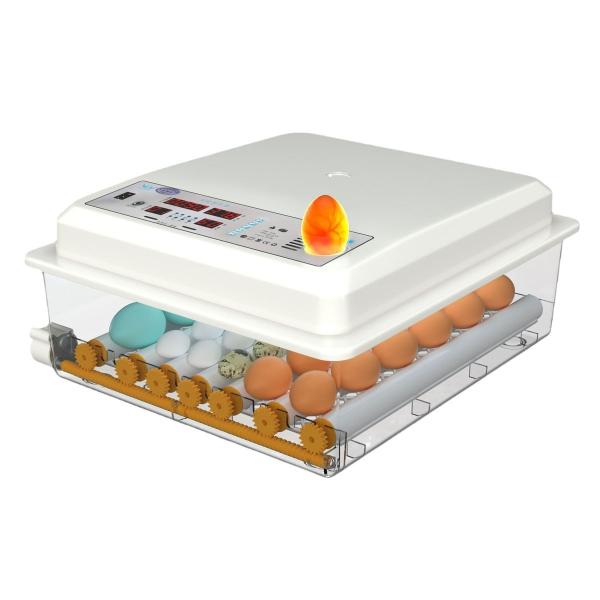 Automatic Eggs Incubator Machine for Poultry Egg Hatching in Shanghai or Nanjing