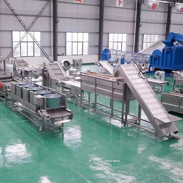 PLC French Fries Potato Chips Production Line 100kg/H 380V