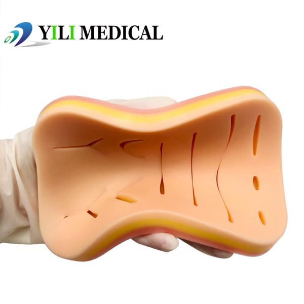Professional Silicone Skin Suture Practice Pad With Box For Surgery Practice And Training