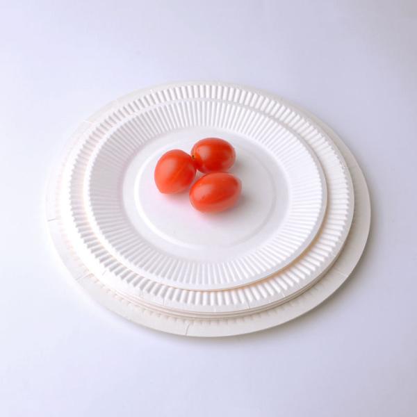 18cm Round Disposable Shatter Proof Kraft Paper Plate Biodegradable White Paper Plate