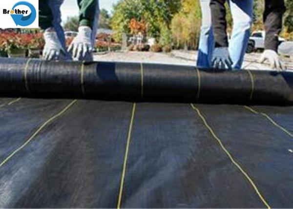 Agricultural Plastic PP Woven Ground Cover Plastic Weed Control Mat Landscape Fabric for Sale