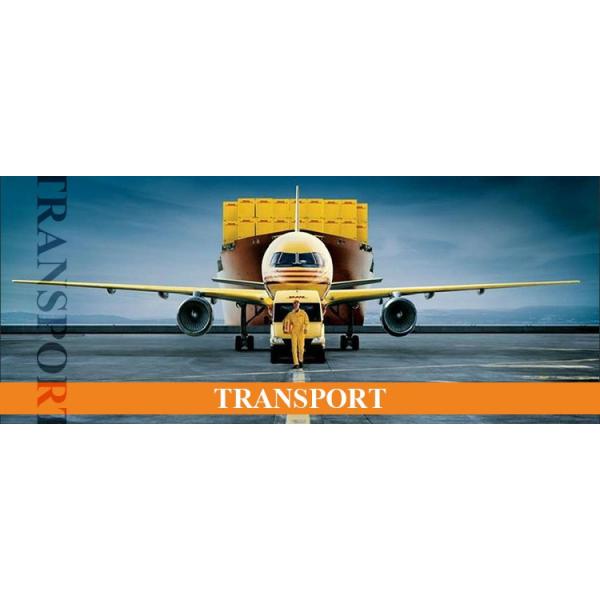 2/4 пневматических турбин Handpiece Handpieces Dorit отверстий высокоскоростных зубоврачебных зубоврачебных высокоскоростных