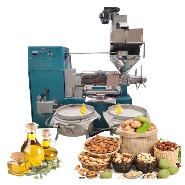 800kg Package Gross Weight Cold Pressed Avocado and Coconut Oil Machine for Extraction