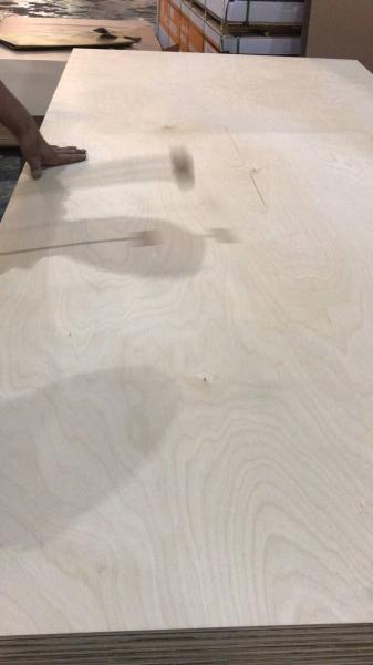 Birch Faced Plywood Glue Acacia Wood Core 16mm 18mm