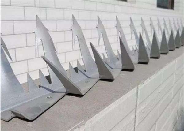 Galvanized Steel Razor Barbed Wire Anti Climb Wall Spikes Wooden Box Packing