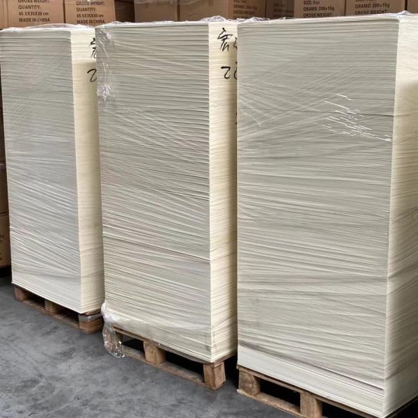 o PLA 280gsm revestiu placas do copo de papel de parede da matéria prima do copo de papel únicas