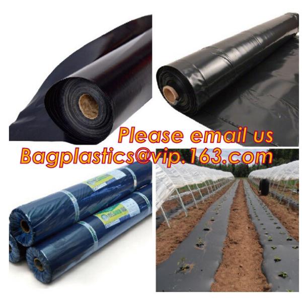 Agricultural Mulching Film Used for Fruit, Flower and Vegetable