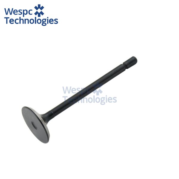 WESPC Intake Valve 120166380 For Perkins 403D-11 403D-15 403D-17 404D-15 404D-22 T Diesel Engines