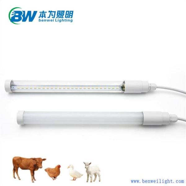 Poultry Shed LED Lighting Flicker Free, Triac Dimmable, 5 Years Warranty Aluminum Body+PC Cover