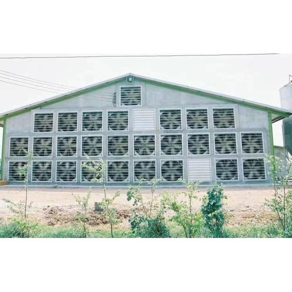 Durable Galvanized Multi Poultry Broiler Cage Large Capacity