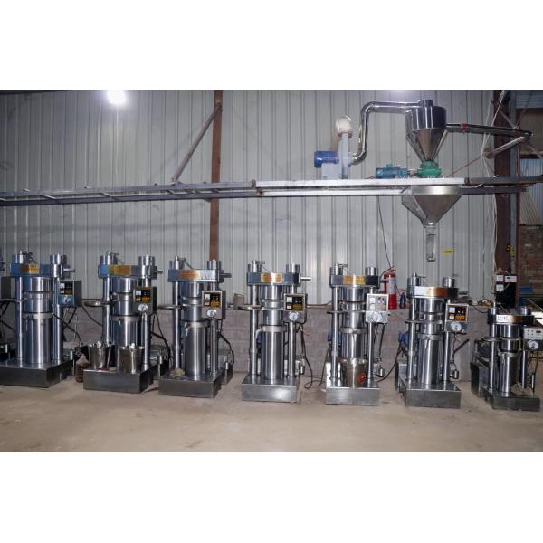 Hot Press Edible Oil Extraction Machine Sunflower Seed Oil Machine Full Automatic