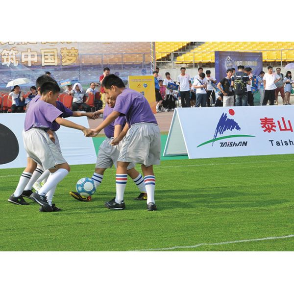 FIFA Certified 55mm Pile Height High Density Artificial Turf for Soccer Courts with Low Maintenance