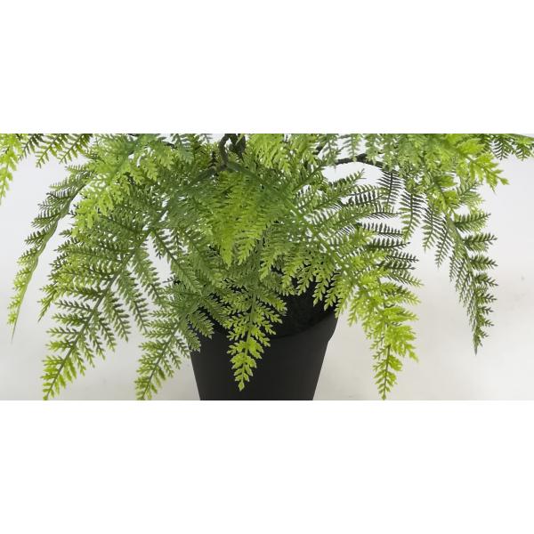 Tabletop 52cm Artificial Fern Bonsai With 5 Inch Black Plastic Pot