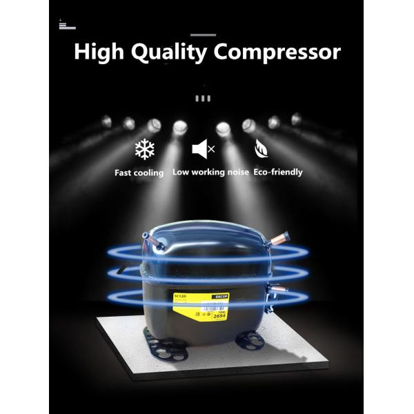 380V Vegetables Display Showcase