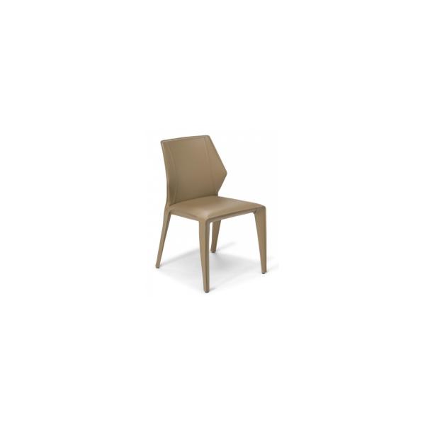 Frida Fiberglass Dining Chair Natuzzi For Home Furniture 450*530*795mm