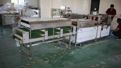 Máquina da fabricação do Chapati da fábrica, máquina da tortilha de milho de 100mm