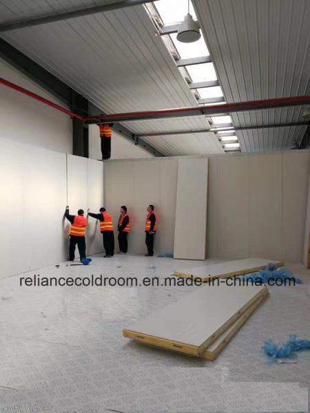 Reliance marche dans la chambre de congélation à -20 °C à -30 °C avec la technologie de refroidissement direct