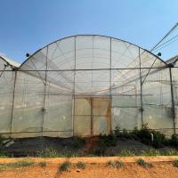 Estufa do túnel do filme plástico de Multispan com sistema de cultivo vertical da hidroponia