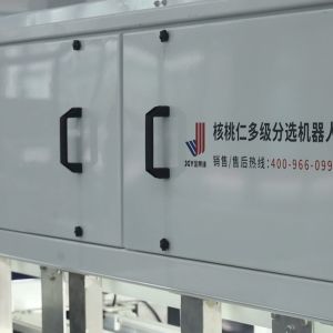 Advanced Walnut Kernel Classification Machine Provides Complete Dual-Side Inspection Coverage For Hidden Defect Finding Higher accuracy with 12 outlets