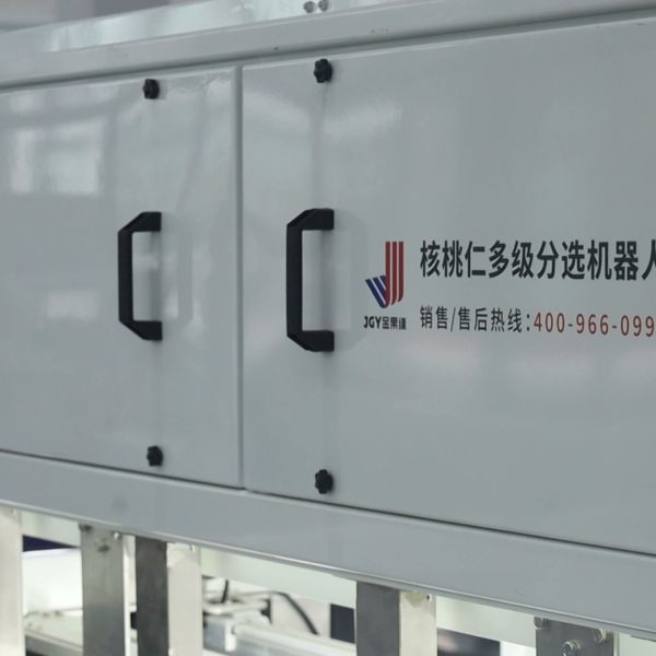 Advanced Walnut Kernel Classification Machine Provides Complete Dual-Side Inspection Coverage For Hidden Defect Finding Higher accuracy with 12 outlets