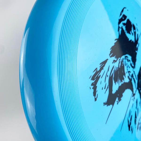 Plastic Ultimate Flying Disc Outdoor Professional Discraft Frisbee 175g