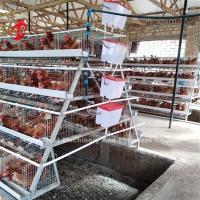 4 gradas acodan las jaulas de batería del pollo automáticas en el Ada de Uganda