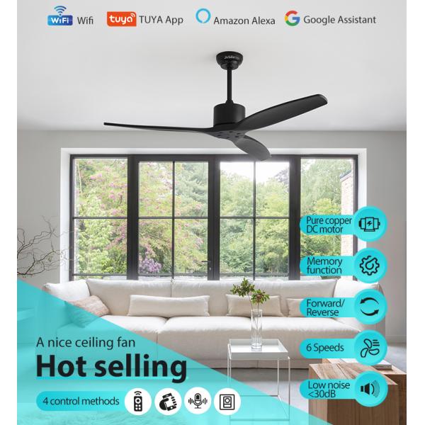 Vento padrão 52 polegadas ventilador de teto com controle remoto e 6 velocidades Mofo privado NO