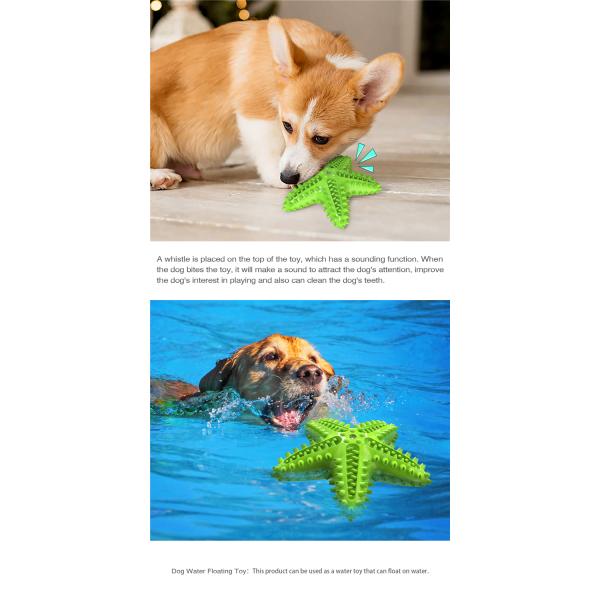 Natural Rubber New Design Starfish Shape Dog Chew Toy Dental Cleaning Toothbrush Squeaky Toy Yellow Green Blue