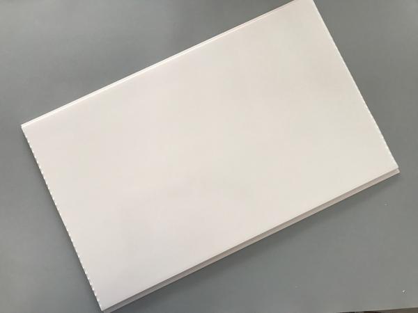 Fácil instale corrosão plástica impermeável 400×9mm das cobertas de parede da garagem a anti
