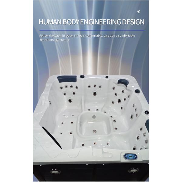 6 Persons Outdoor Hot Tub Swim Spa Massage With Dvd Player