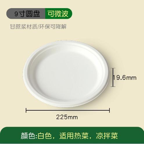 Convenient Disposable Plate for Happy Birthday Supplies Eco-Friendly and Easy Cleanup